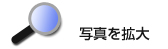 ʐ^g